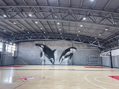 篮球馆巨型壁画